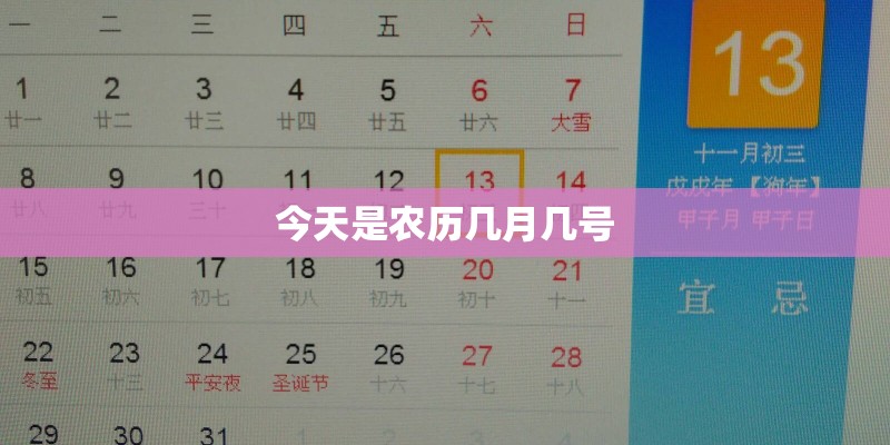 check out是什么意思？