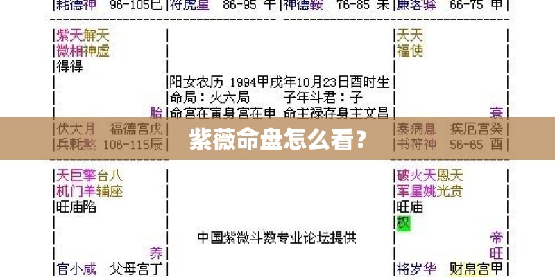 紫薇命盘怎么看？