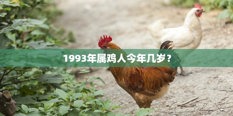 1993年属鸡人今年几岁？