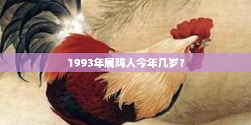 1993年属鸡人今年几岁？