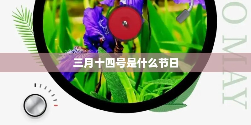 三月十四号是什么节日