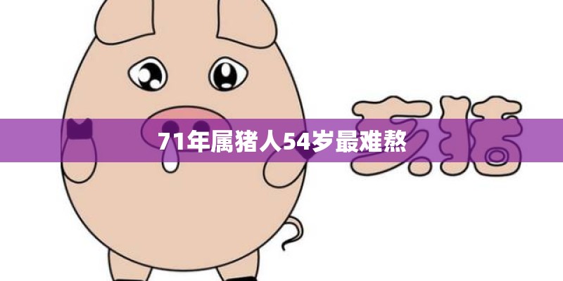 71年属猪人54岁最难熬