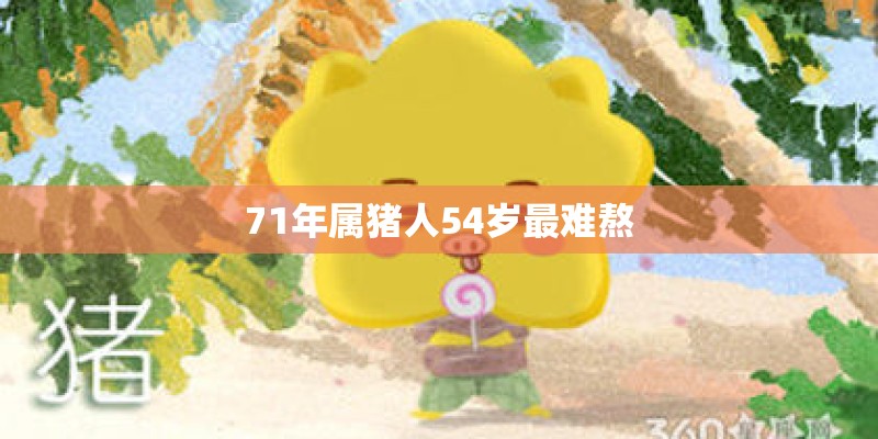 71年属猪人54岁最难熬