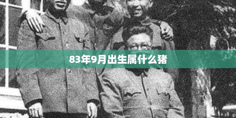 71年属猪人54岁最难熬