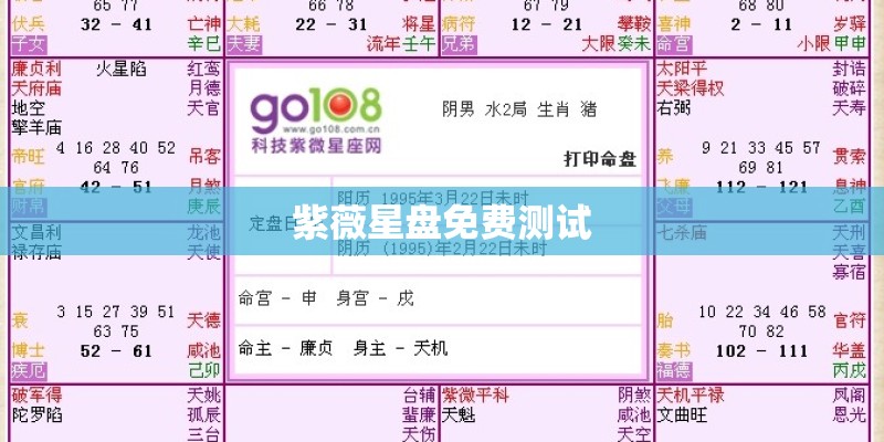 紫薇星盘免费测试