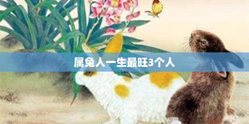 属兔人一生最旺3个人