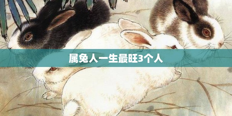 属兔人一生最旺3个人