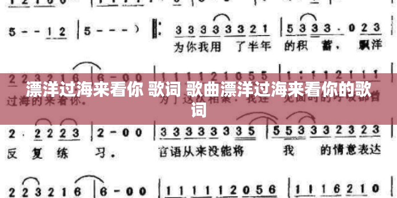 漂洋过海来看你 歌词 歌曲漂洋过海来看你的歌词