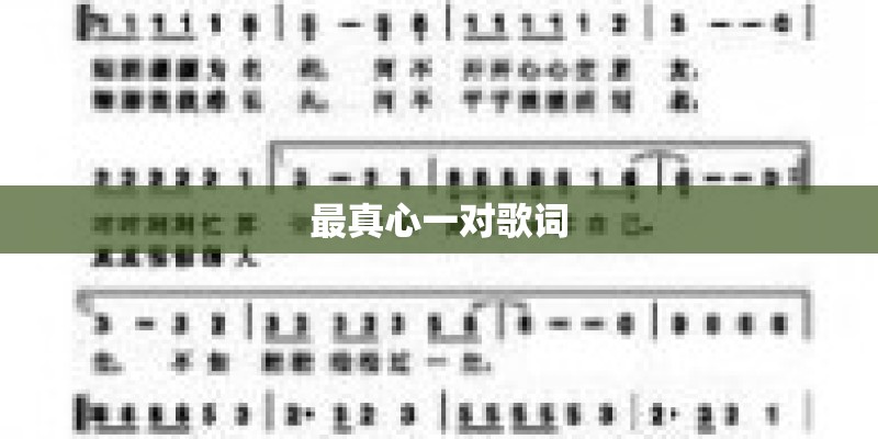 最真心一对歌词